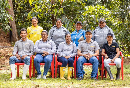 ASAPIBAS, Bajo Cauca y Sur de Bolívar