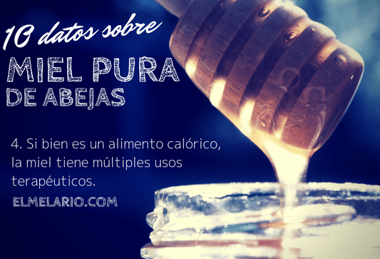 Bondades de la miel