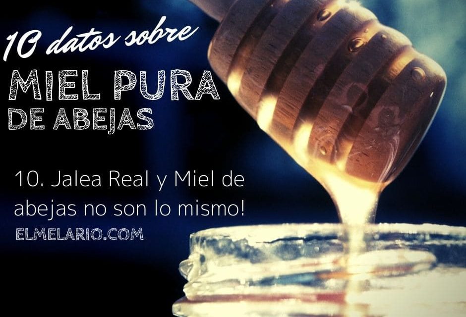 JALEA REAL
