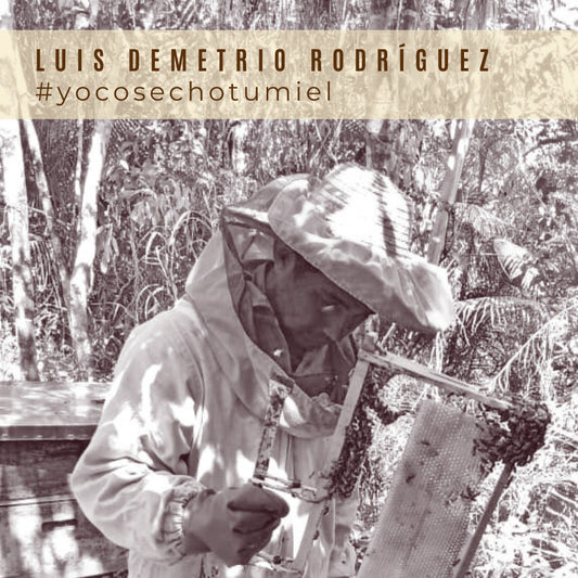 Miel de Abejas Origen San José de Uré