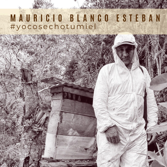 Miel Cosecha Especial Páramo de Santurbán 650gr