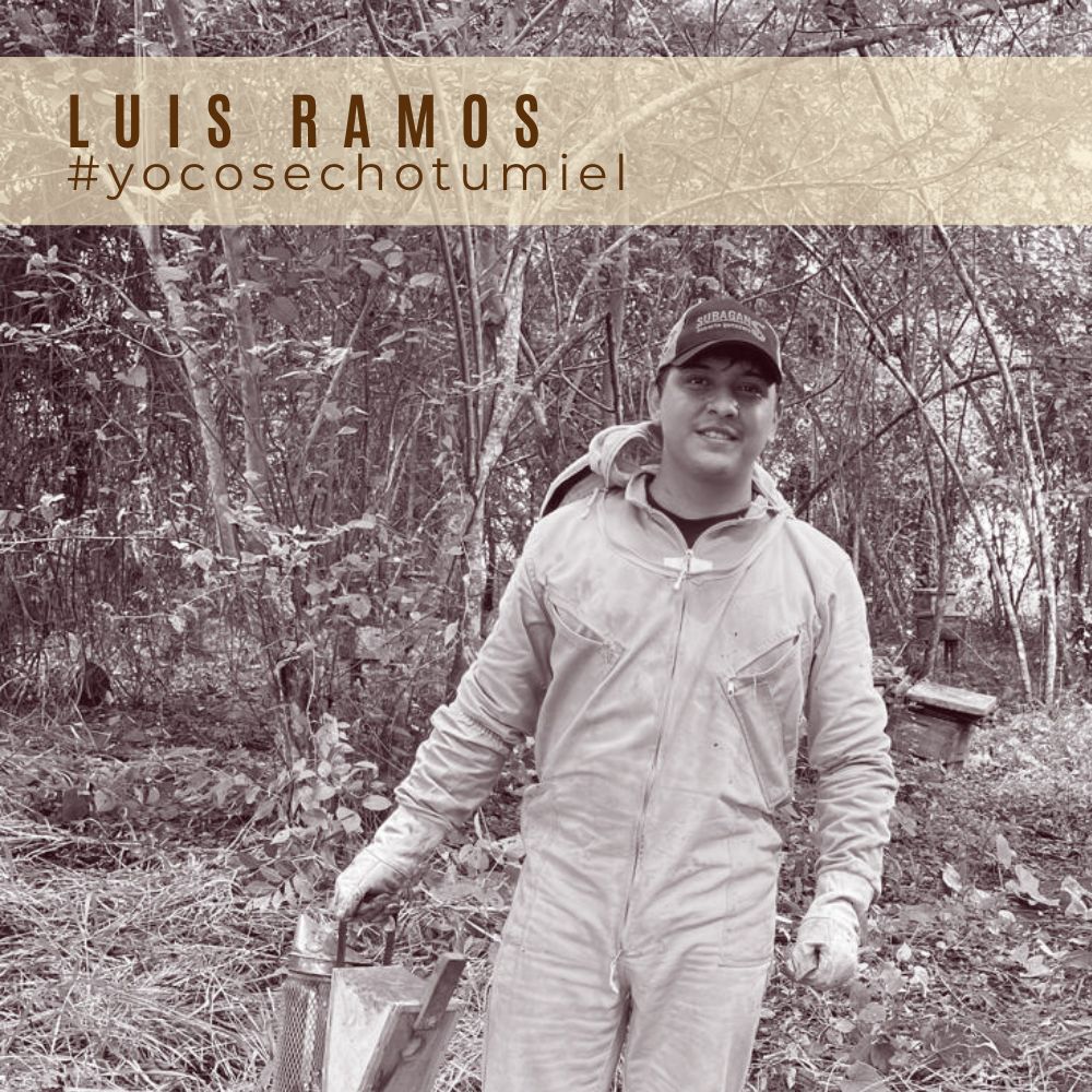 Miel de Abejas Origen San Marcos