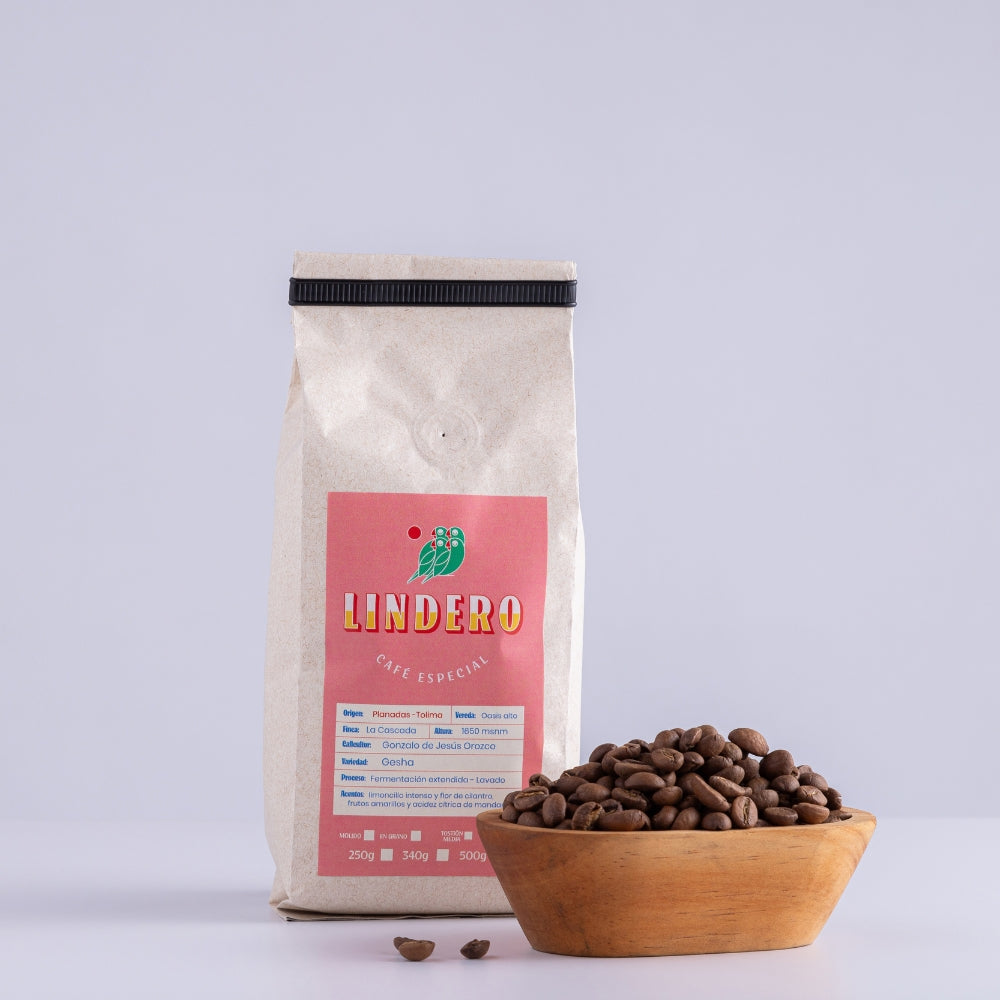 Colección El Café y Sus Postres