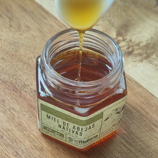 Miel de Abejas Meliponas 70gr PACK X2