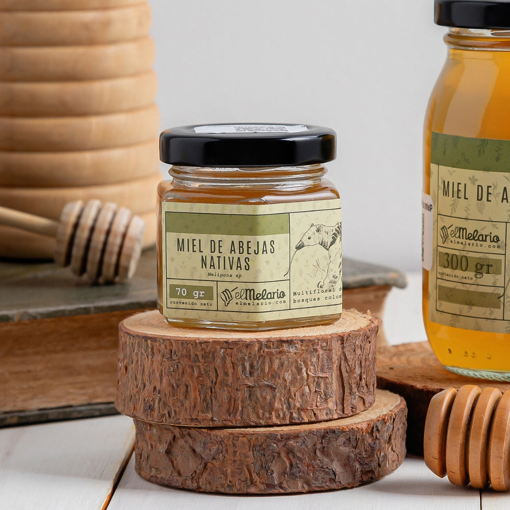 Miel de Abejas Meliponas 70gr PACK X2