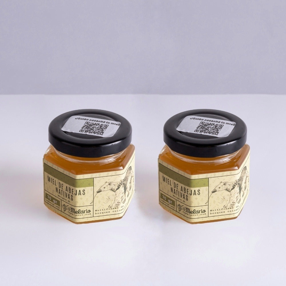 Miel de Abejas Meliponas 70gr PACK X2