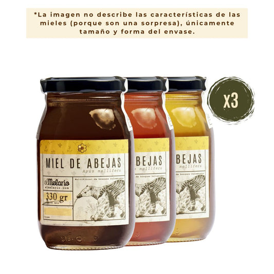 Pack Sorpresa Miel de Abejas 330gr