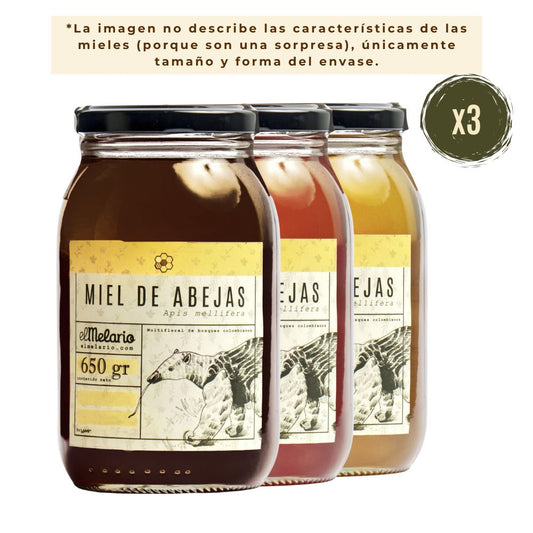 Pack Sorpresa Miel de Abejas 650gr
