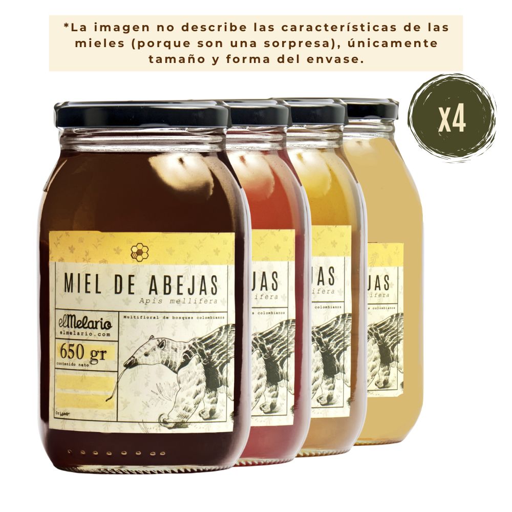 Pack Sorpresa Miel de Abejas 650gr
