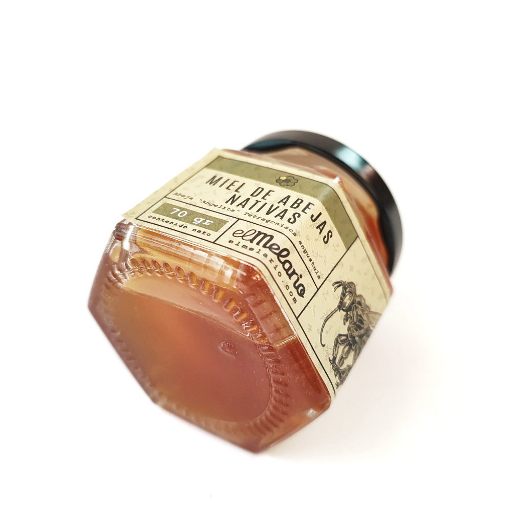 Miel de Abejas Angelitas 70gr