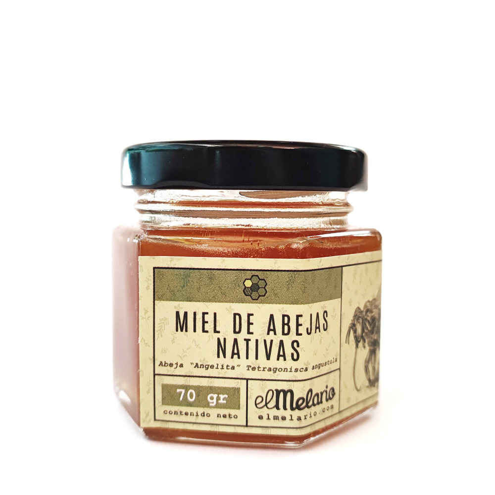 Miel de Abejas Angelitas 70gr
