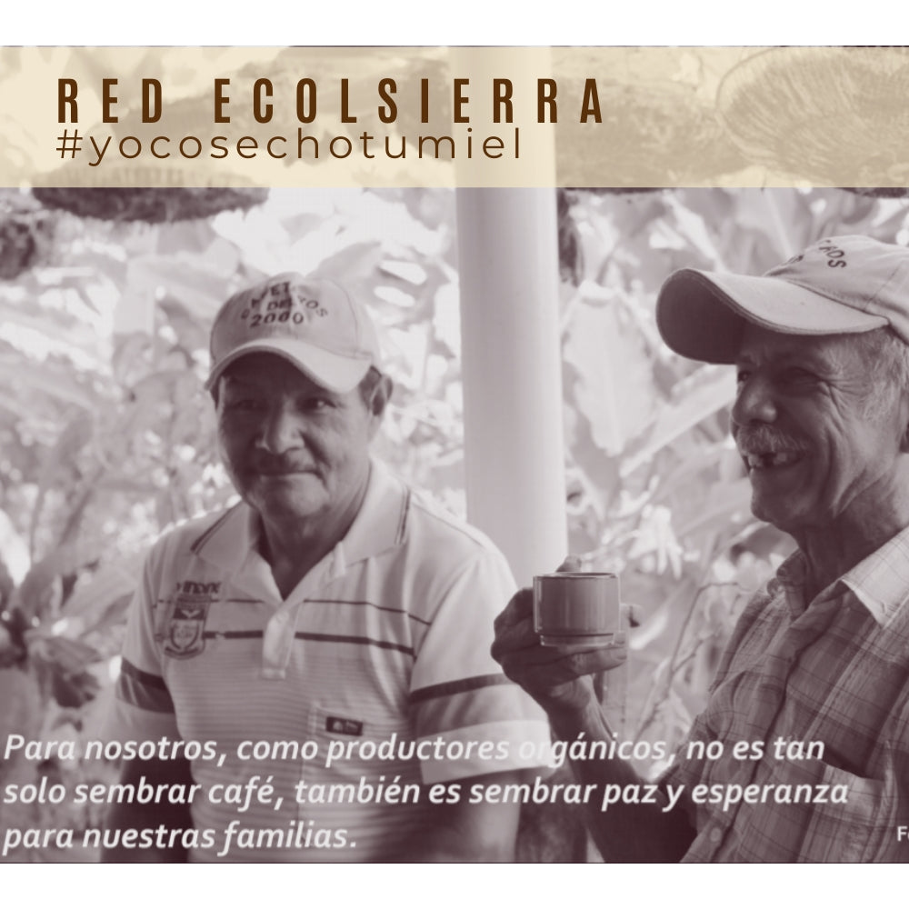 Miel Cosecha Especial Sierra Nevada de Santa Marta 650gr