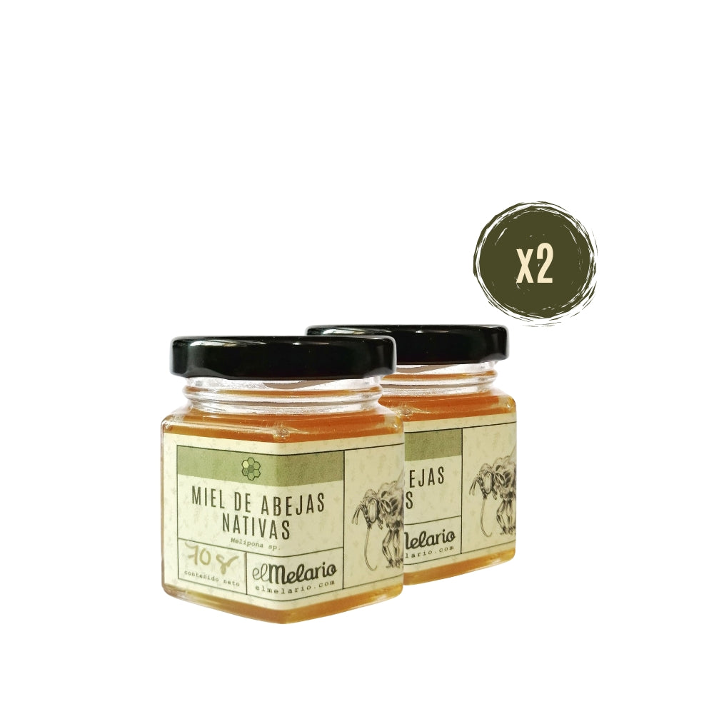 Miel de Abejas Meliponas 70gr PACK X2