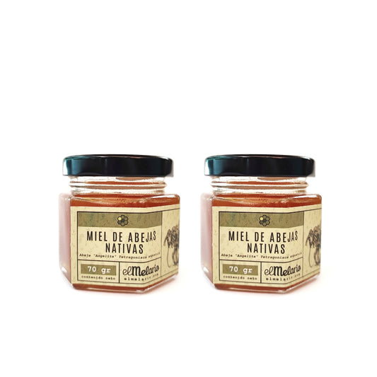 Miel de Abejas Angelitas 70gr PACK X2