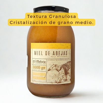 Miel de Abejas Origen Sonsón - Antioquia