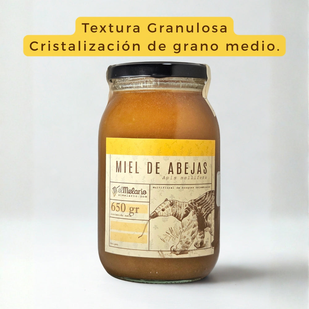 Miel de Abejas Origen Sonsón - Antioquia