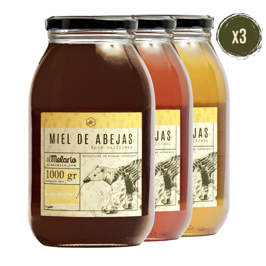 Pack Sorpresa Miel de Abejas 1000gr