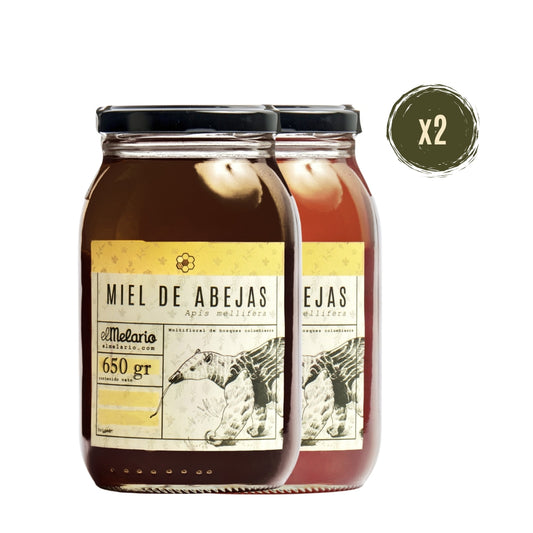 Pack Sorpresa Miel de Abejas 650gr