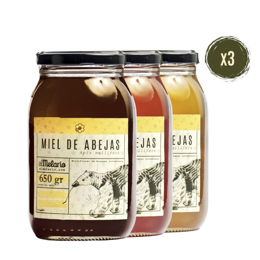 Pack Sorpresa Miel de Abejas 650gr