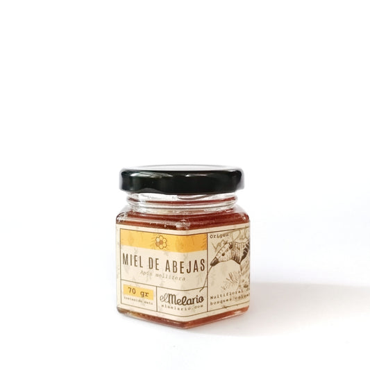 10 UNIDADES Miel 70gr con Pala melaria