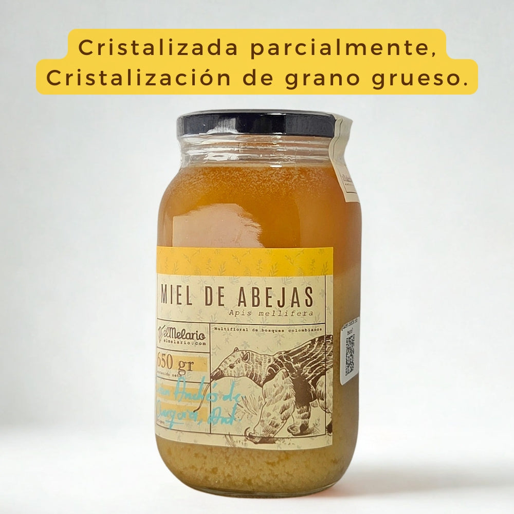 Miel de Abejas Origen San Andrés de Cuerquia
