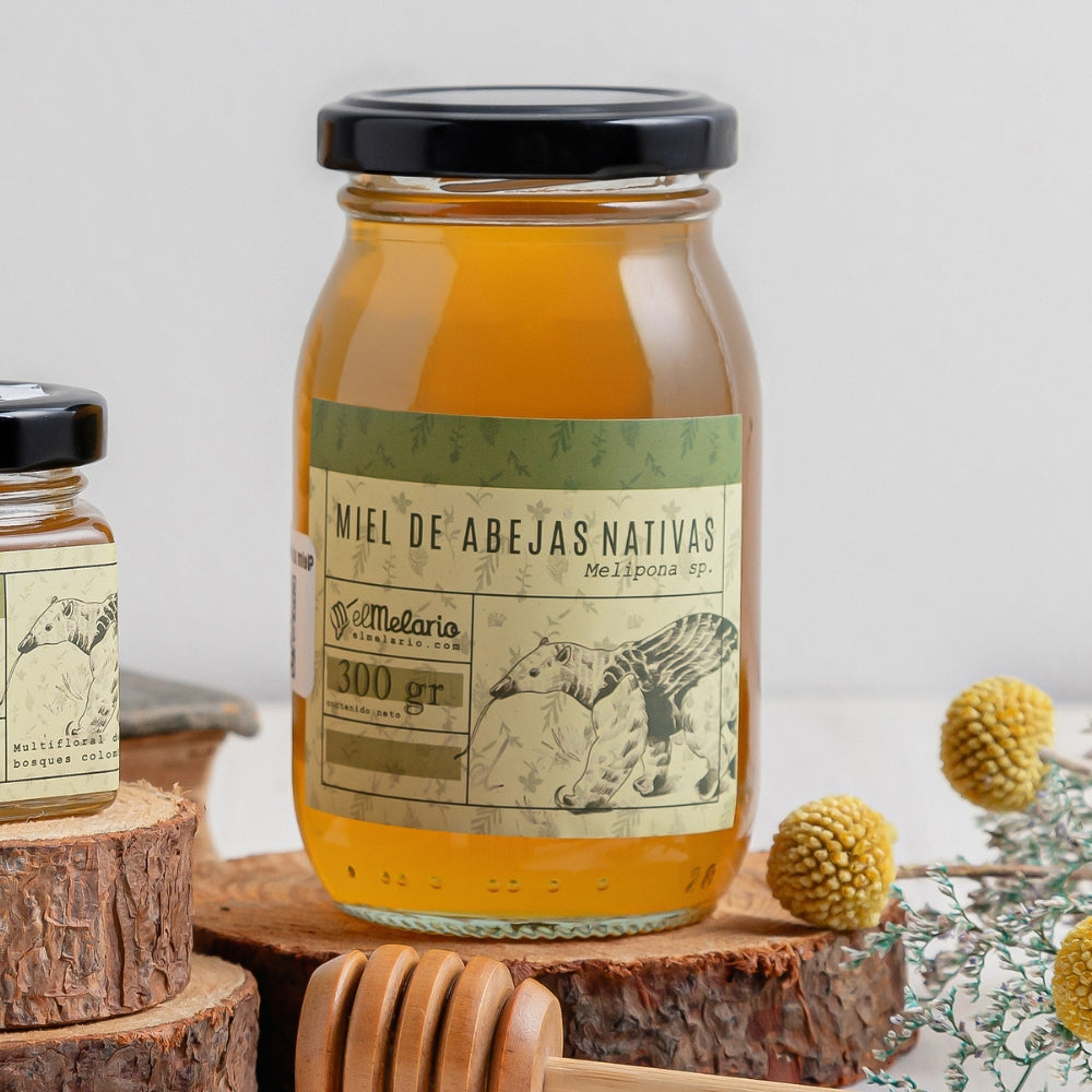https://elmelario.com/cdn/shop/files/miel-melipona-300-gr-abejas-nativas-el-melario-2_e2d90454-12bd-48ba-92d3-bda33a3603f8.jpg?v=1735075950