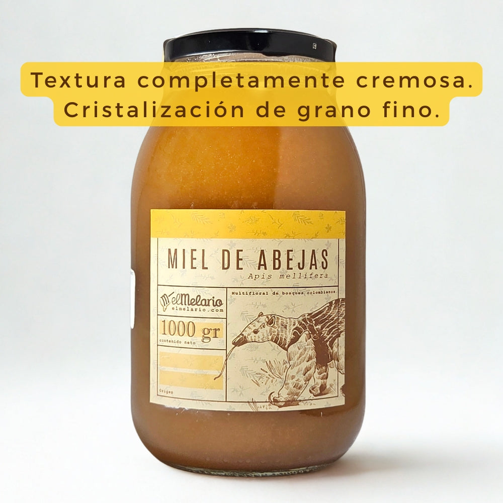 Miel de Abejas Origen Totoró (Apimacizo) - Cauca
