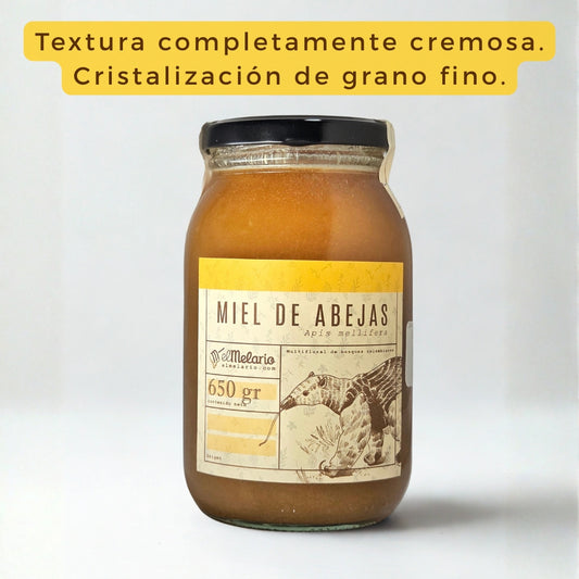 Miel de Abejas Origen Totoró (Apimacizo) - Cauca