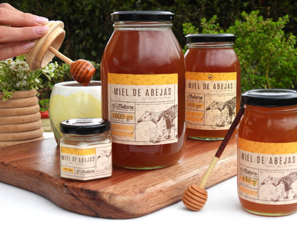 Miel de Abejas Origen San Rafael