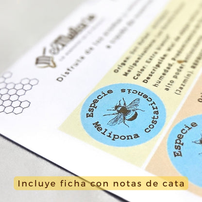 Cata de Rarezas Nativas 70gr