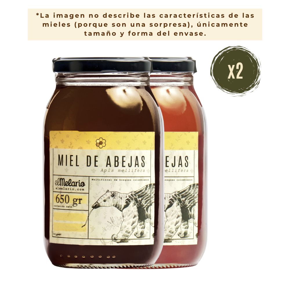 Pack Sorpresa Miel de Abejas 650gr