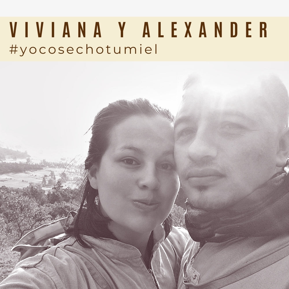 Miel Cosecha Especial Boyacá 650gr